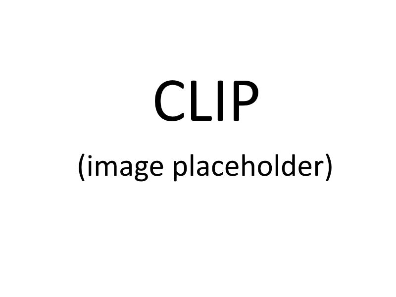 Clip