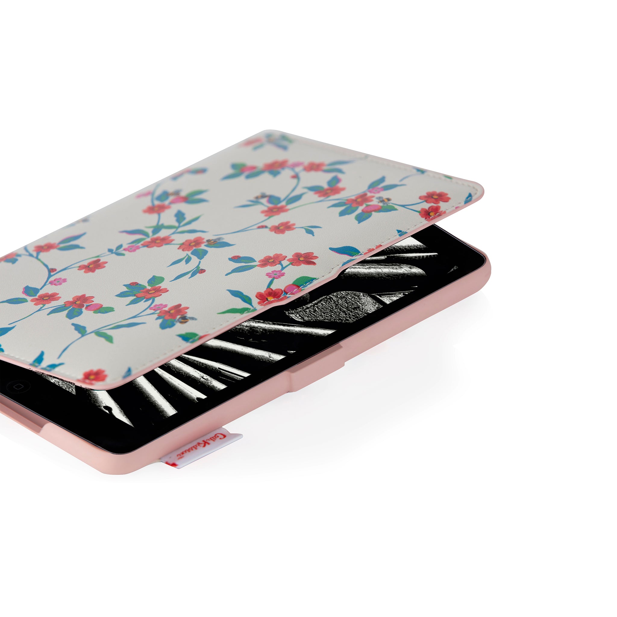 Kindle Case