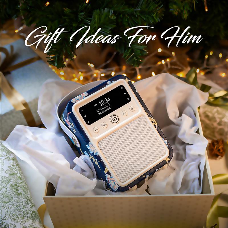 DAB Radio - Bluetooth Speaker - Smart Speaker - Holiday Gifting 2024 