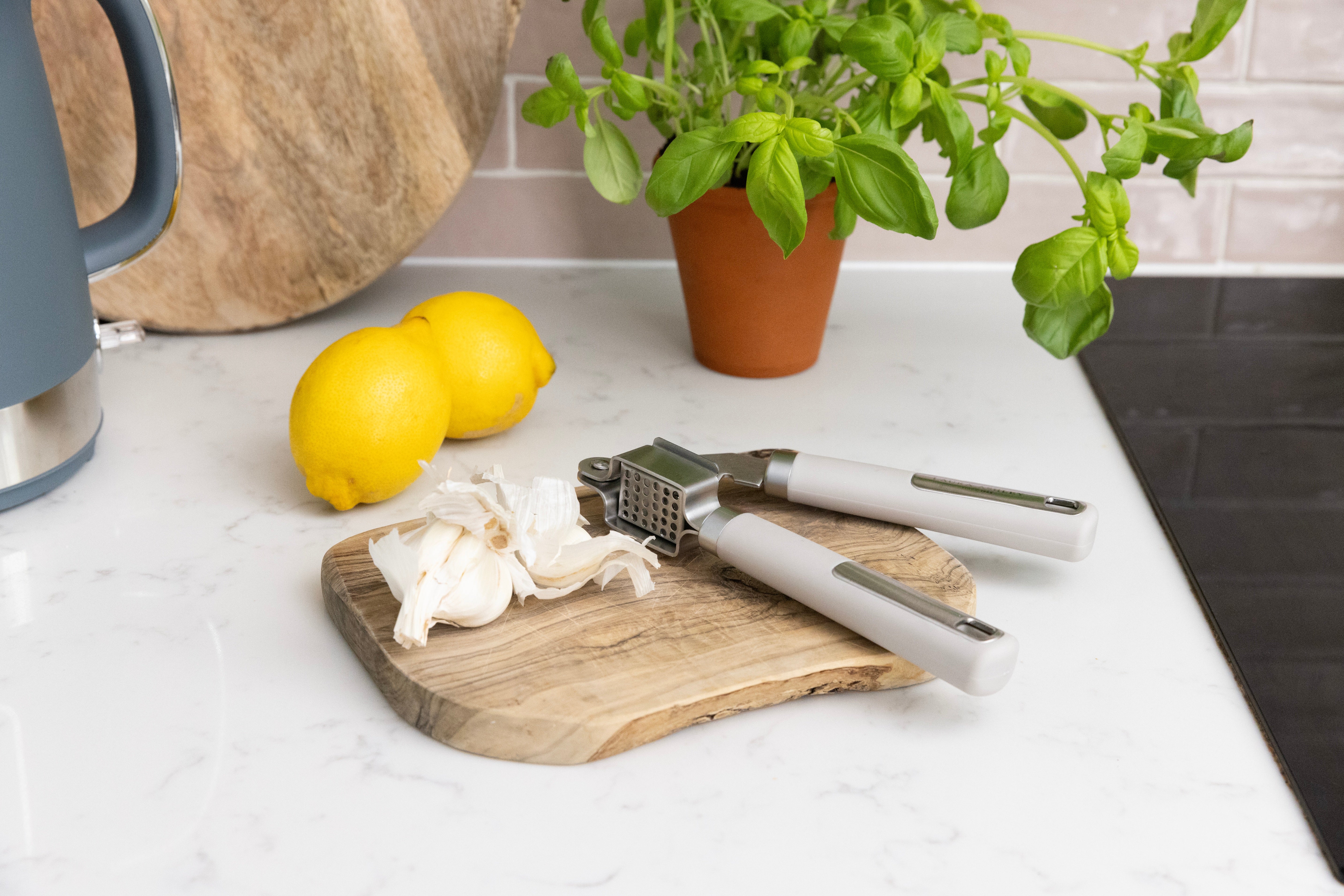 Laura Ashley Stainless Steel Garlic Press/Mincer/Crusher with Soft Touch Handle