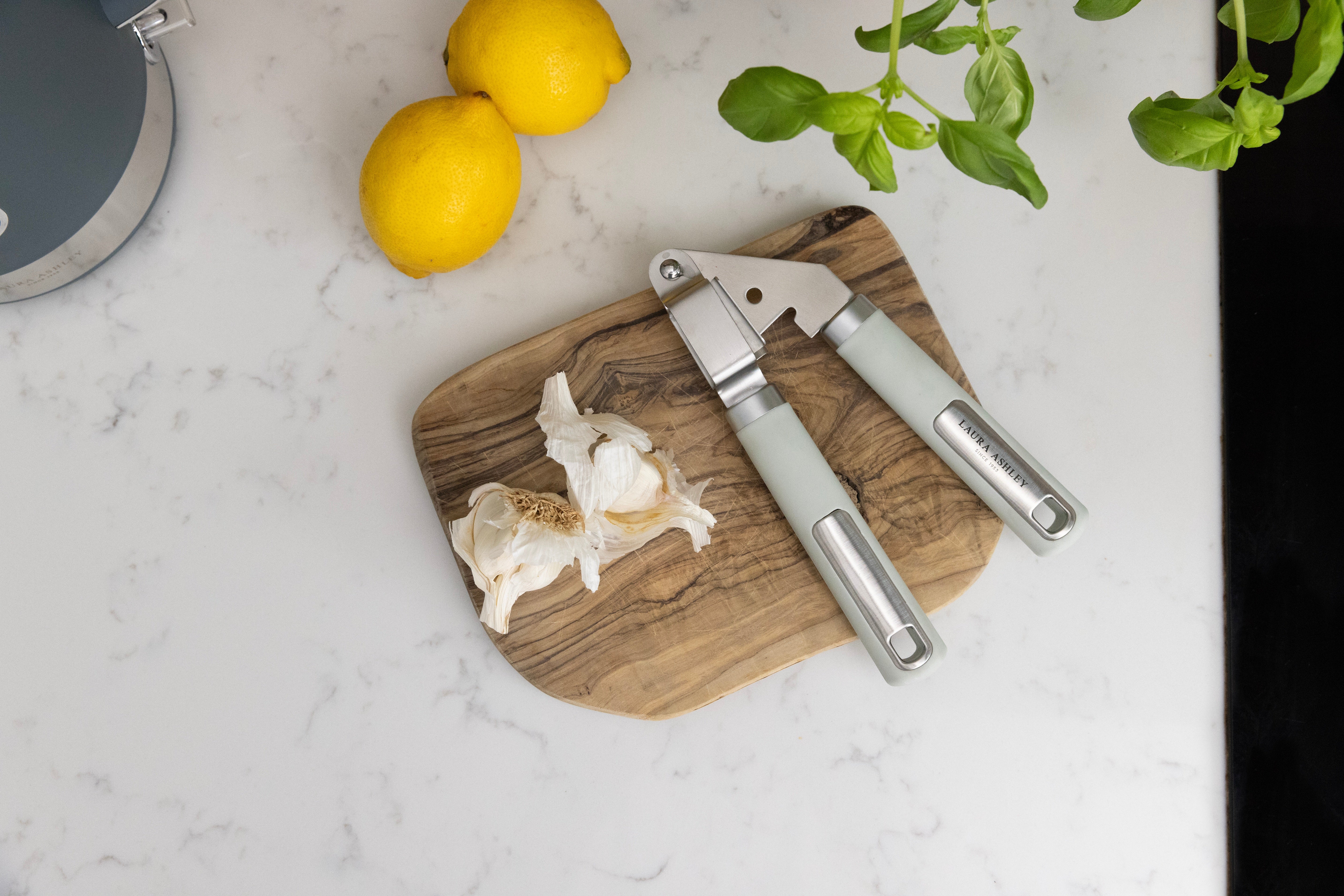 Laura Ashley Stainless Steel Garlic Press/Mincer/Crusher with Soft Touch Handle