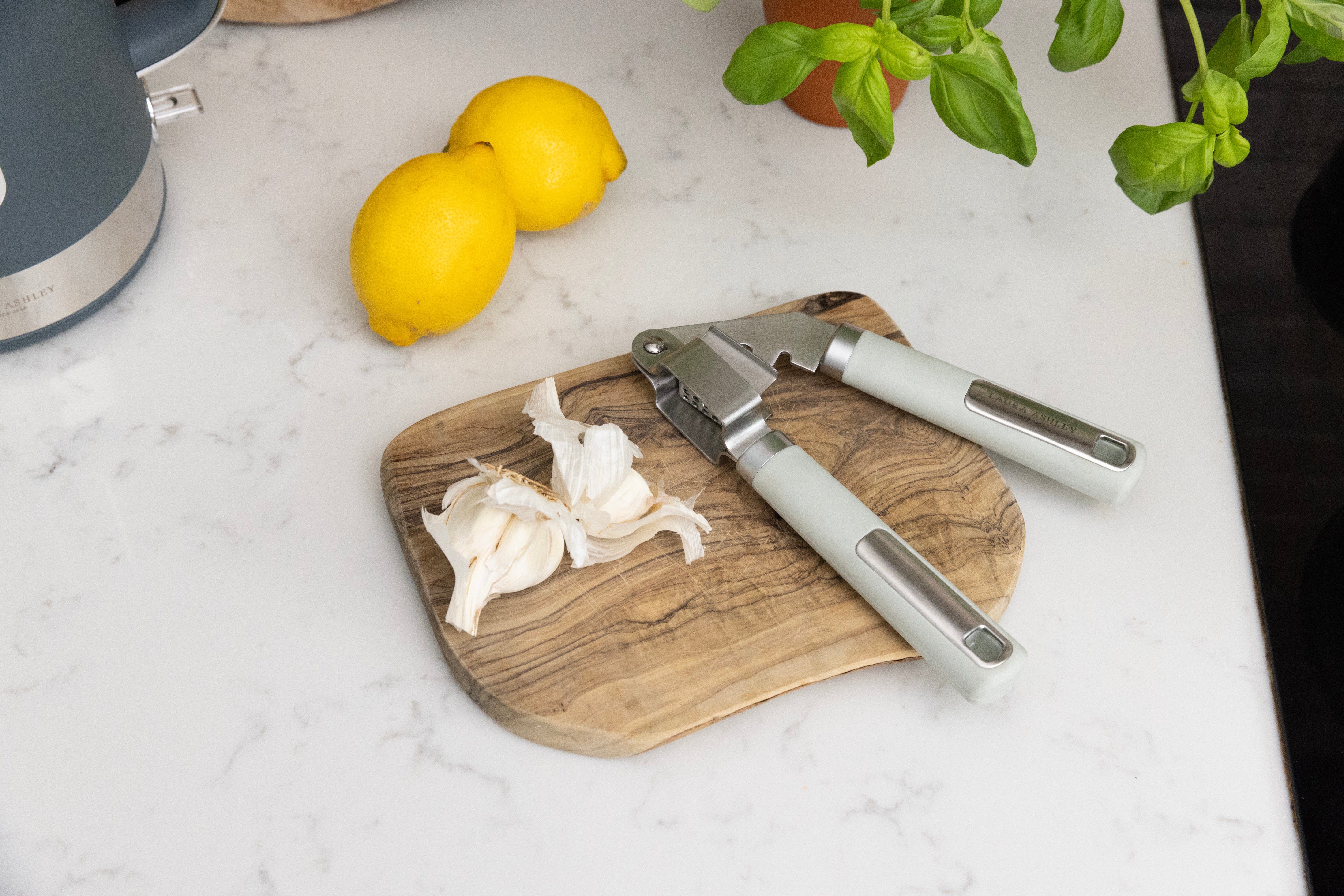 Laura Ashley Stainless Steel Garlic Press/Mincer/Crusher with Soft Touch Handle