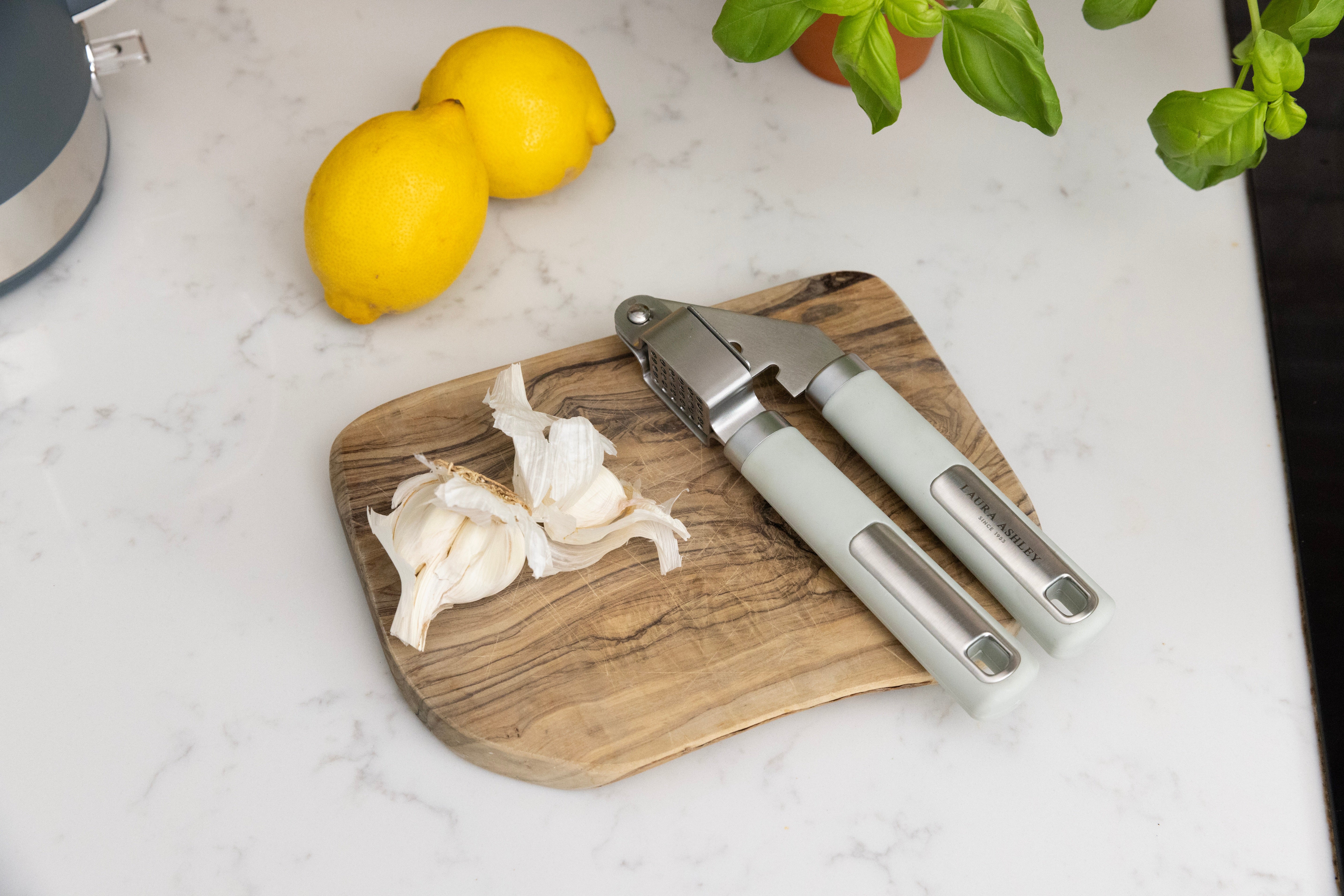 Laura Ashley Stainless Steel Garlic Press/Mincer/Crusher with Soft Touch Handle