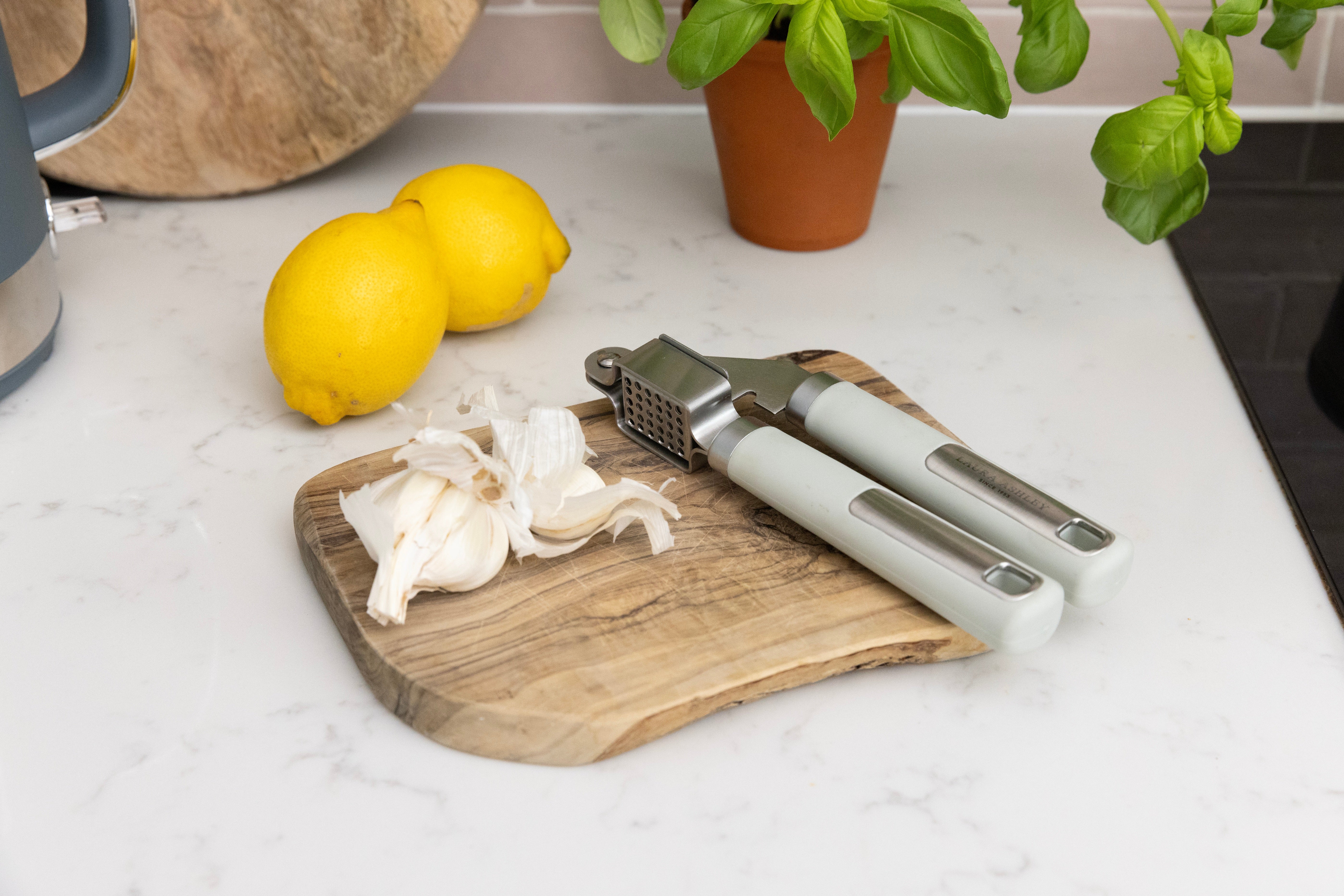 Laura Ashley Stainless Steel Garlic Press/Mincer/Crusher with Soft Touch Handle